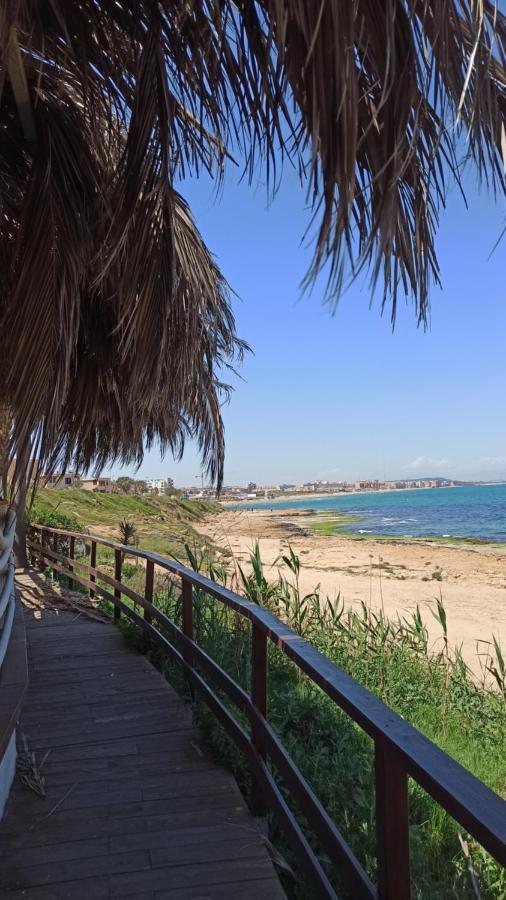 Apartment Only 250M From The Beach Los Locos Torrevieja Kültér fotó