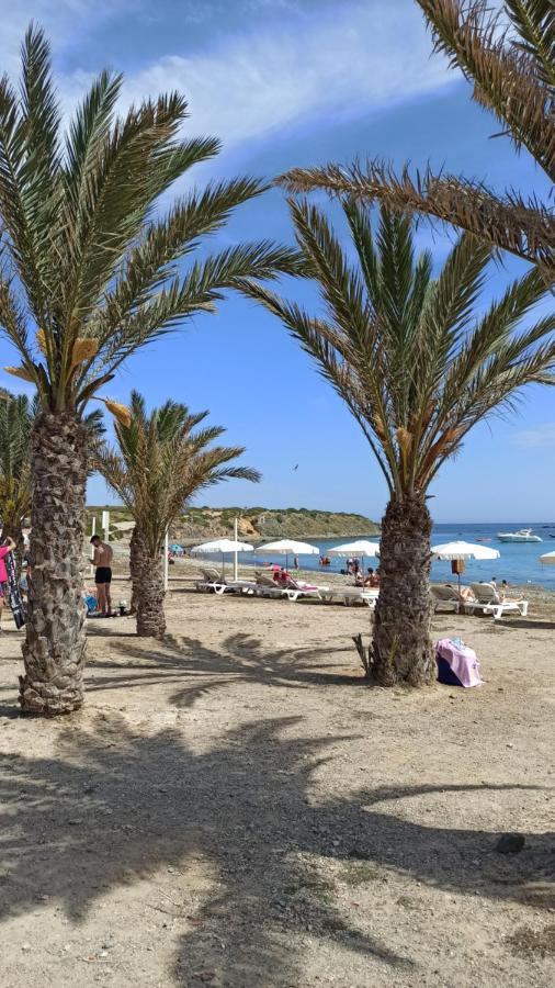 Apartment Only 250M From The Beach Los Locos Torrevieja Kültér fotó